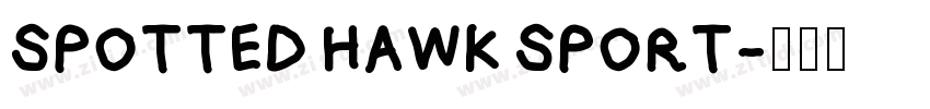SPOTTED HAWK SPORT字体转换